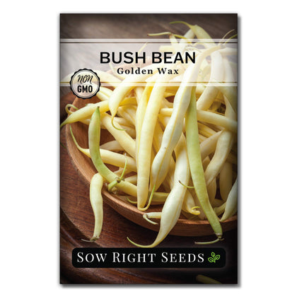 Sow Right Seeds Golden Wax Bean seed packet ready for planting in home gardens.