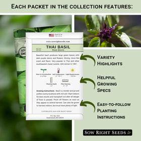 Sow Right Seeds Greek basil packets with compact growth for patio pots.