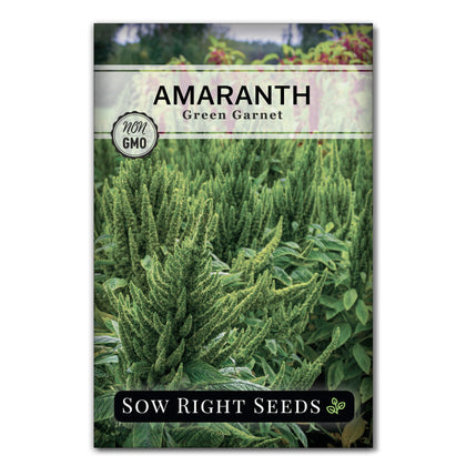 Sow Right Seeds Green Garnet Amaranth seed packet ready for home garden start.