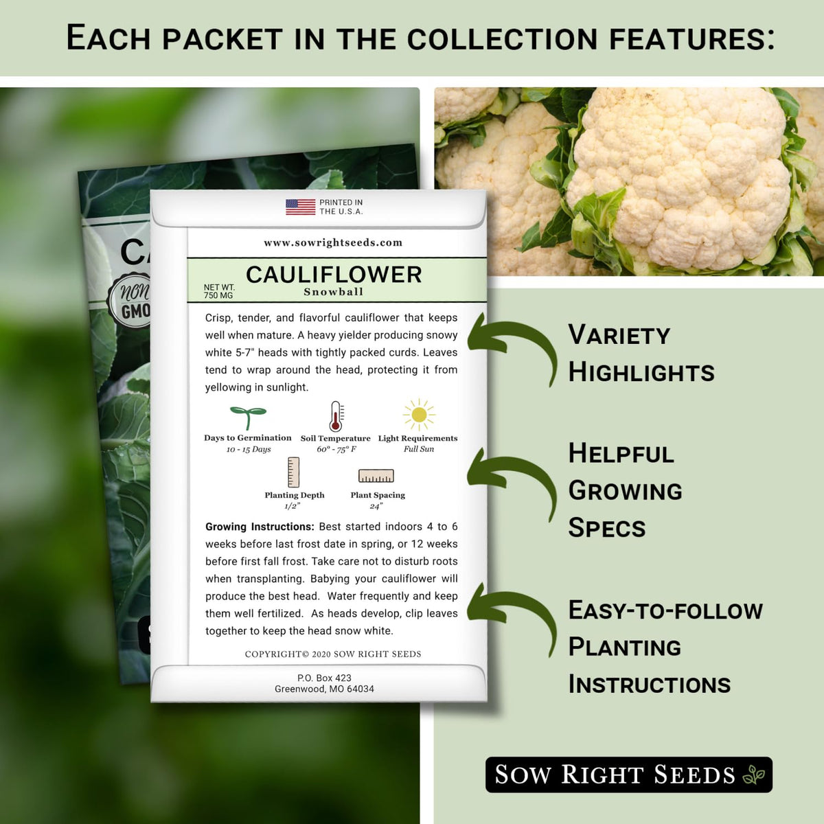 Sow Right Seeds Green Macerata cauliflower head with tender white curds
