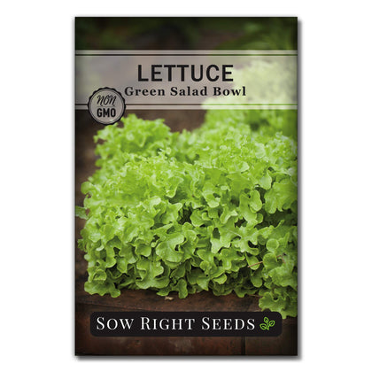 Sow Right Seeds Green Salad Bowl lettuce seed packet for crisp garden salads.