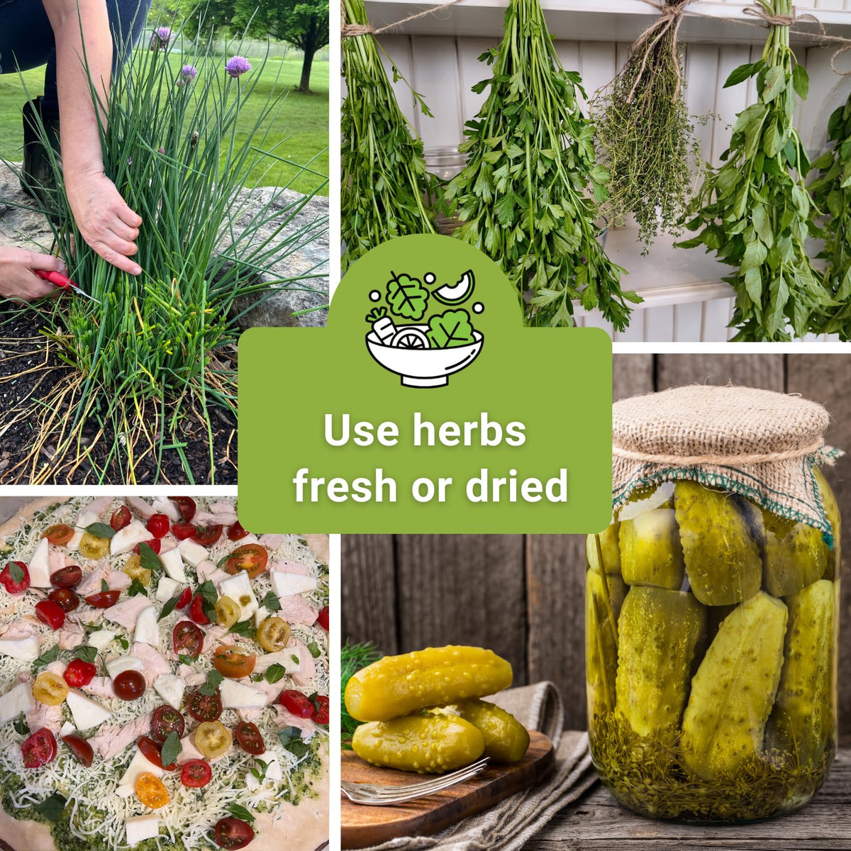 Sow Right Seeds herb collection gift pack with five popular culinary herbs