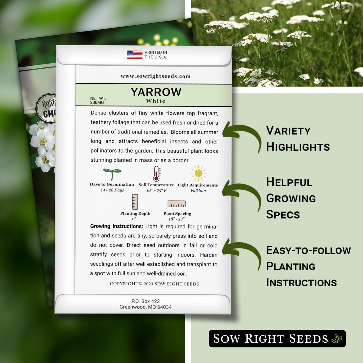 Sow Right Seeds herbal seed packets in a kitchen garden ready for year-round harvest.