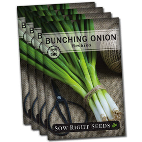 Sow Right Seeds Heshiko onion seed packet for home garden planning and fresh flavor.