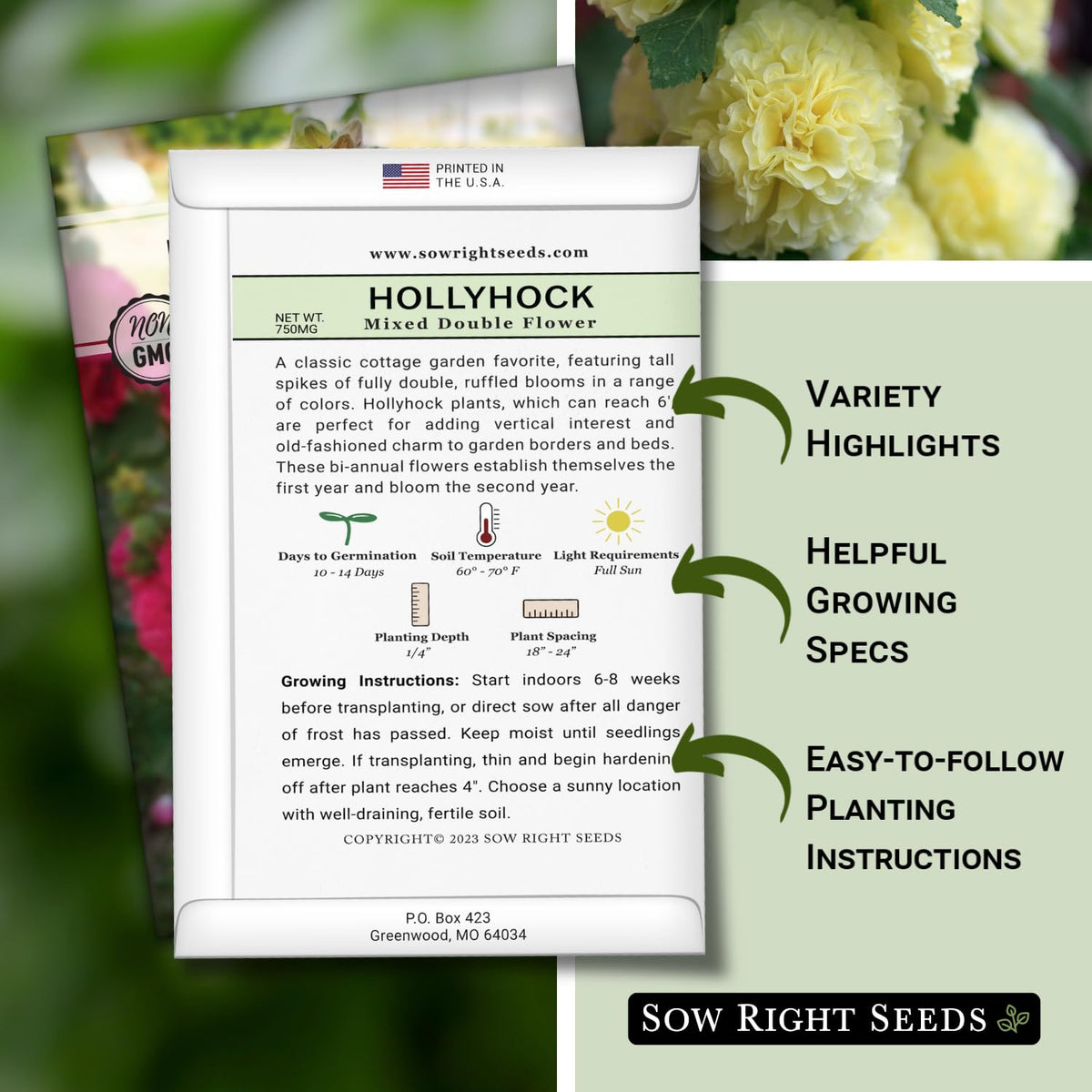 Sow Right Seeds hollyhock germination guidance for full sun planting and tall growth