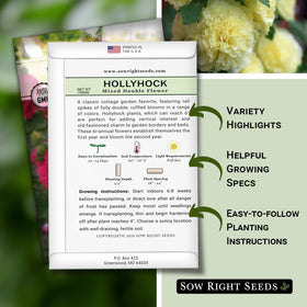 Sow Right Seeds hollyhock germination guidance for full sun planting and tall growth