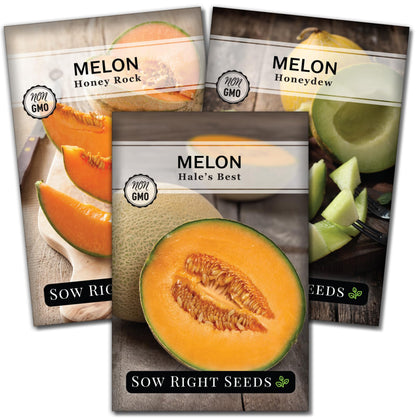 Sow Right Seeds Honey Rock cantaloupe packet ready for planting and sweet harvests.
