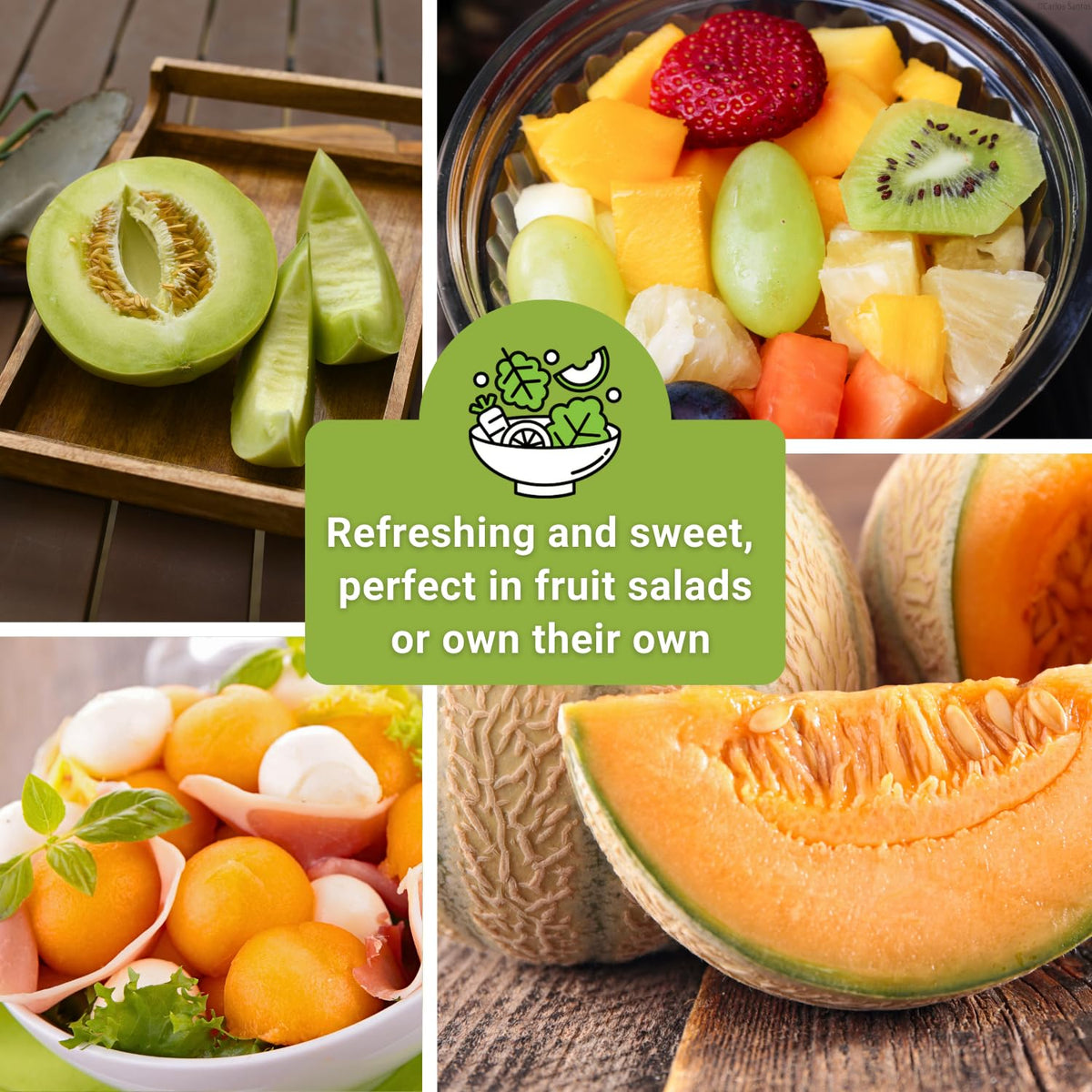 Sow Right Seeds Honeydew fruit image showing ready-to-eat juicy melons.