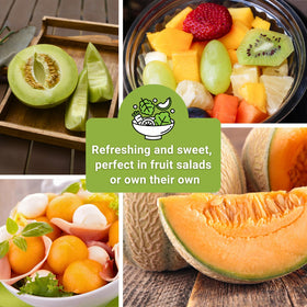Sow Right Seeds Honeydew fruit image showing ready-to-eat juicy melons.