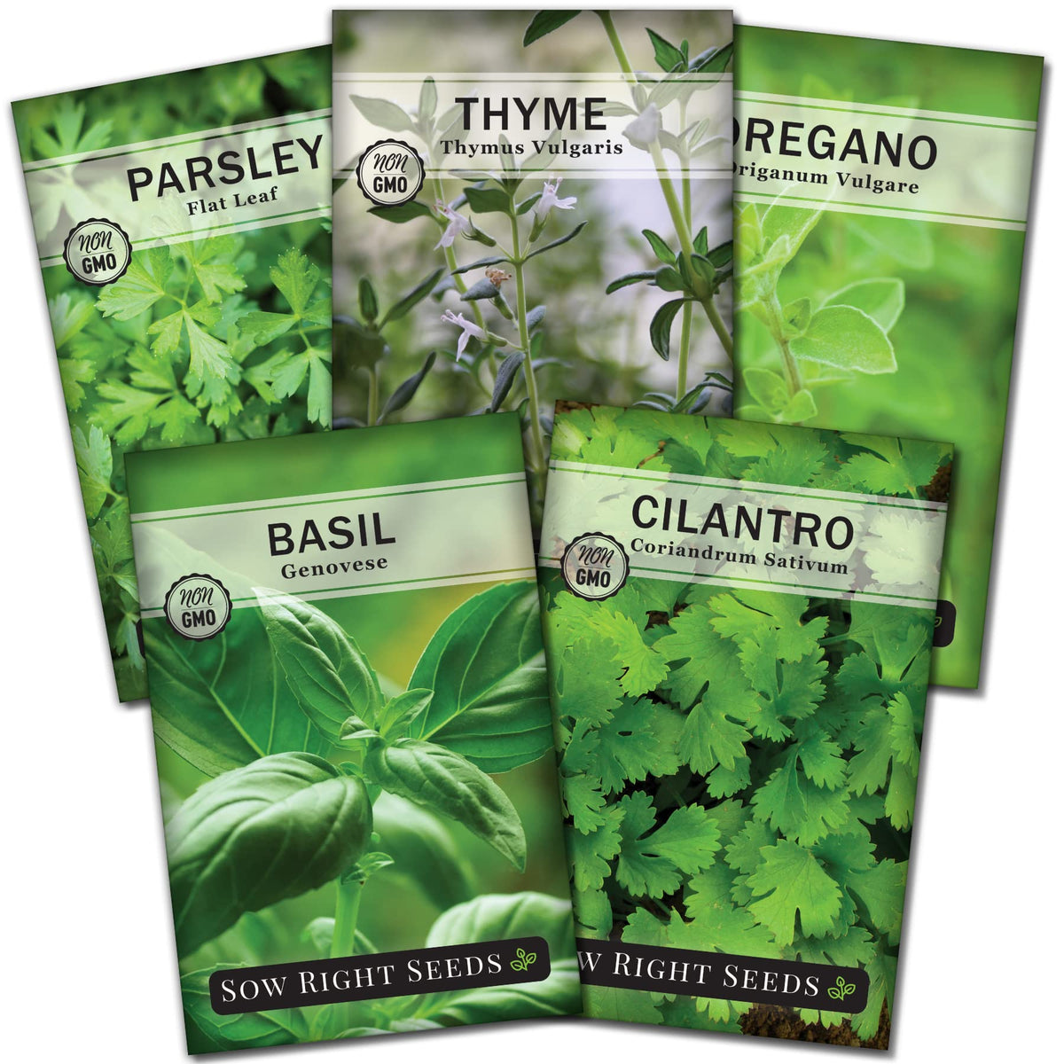 Sow Right Seeds basil hydroponic seed packet for indoor herb garden and fresh pesto