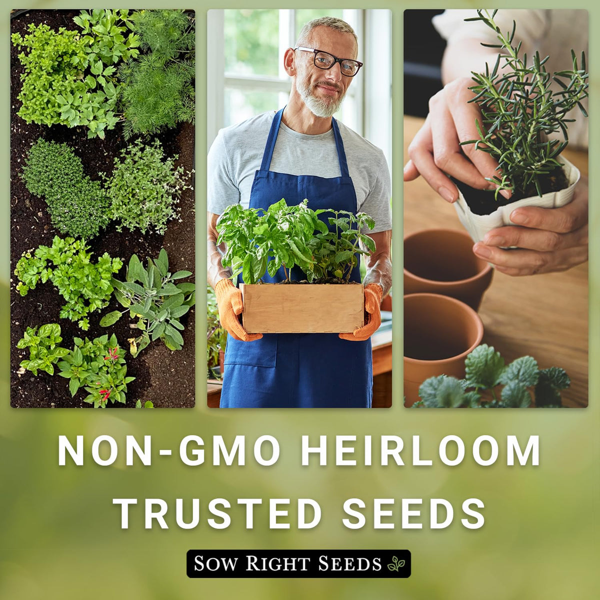 Sow Right Seeds included instructions: clear guidance for planting