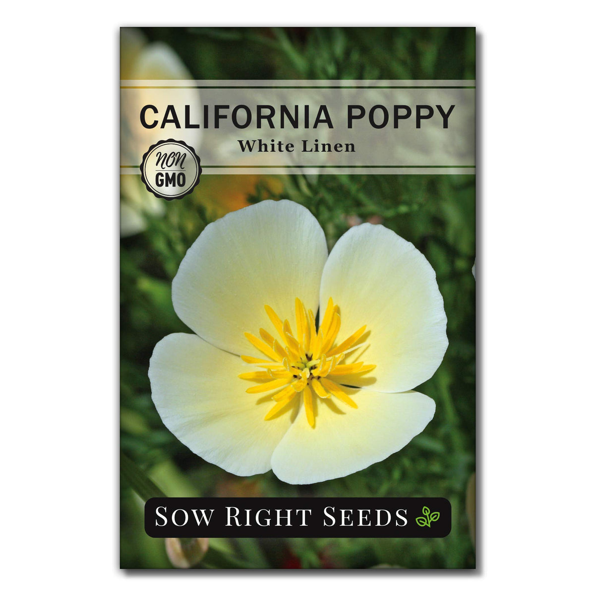 Sow Right Seeds Instruction card included with easy-to-grow seeds for beginner gardeners.