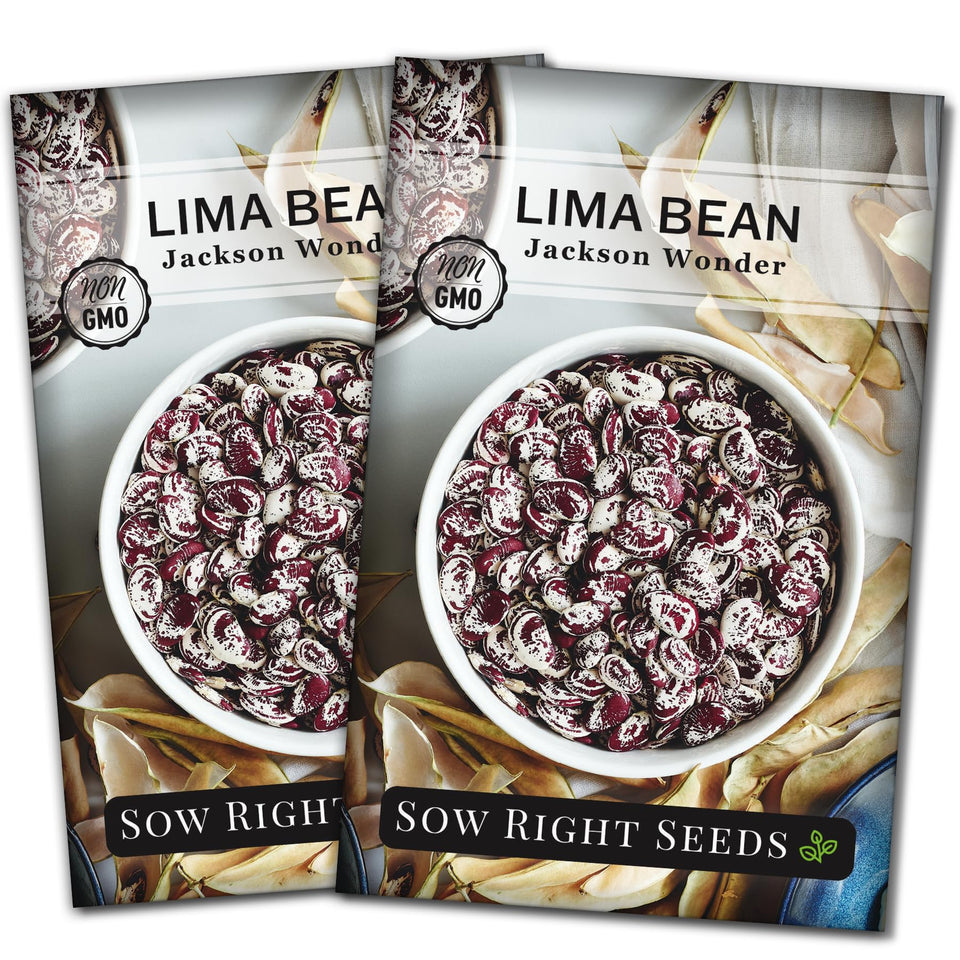 Sow Right Seeds Jackson Wonder Lima Bean seeds packet ready for home garden planting for protein-rich harvest.