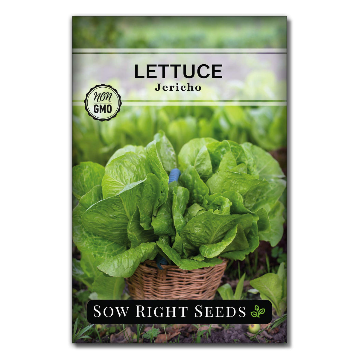Sow Right Seeds Jericho lettuce seeds packet for heat-tolerant harvests