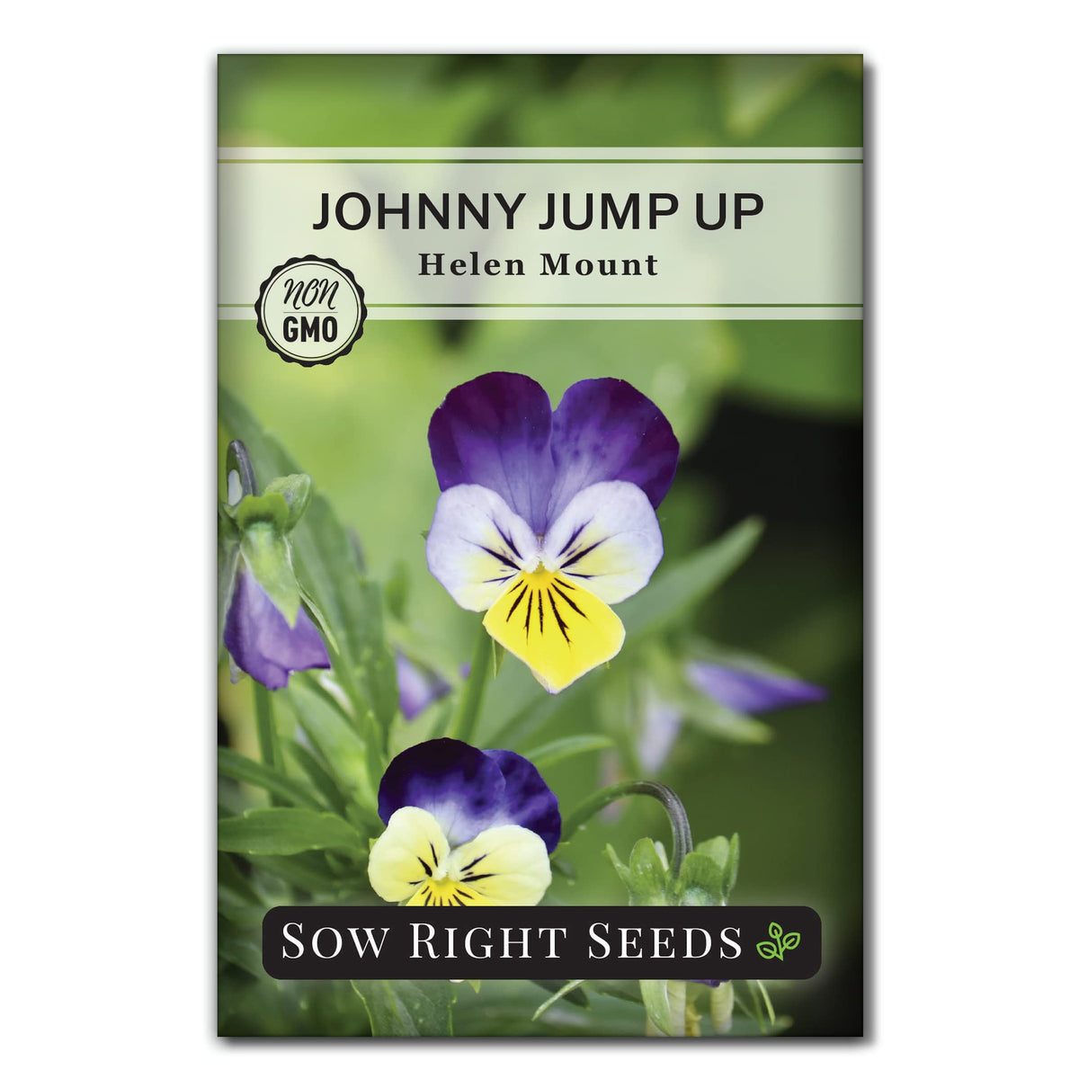 Sow Right Seeds Johnny Jump-Up Violet seeds with tri-color blooms for vibrant spring containers.