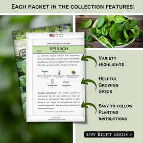 Sow Right Seeds kale and lettuce selection for colorful meals.