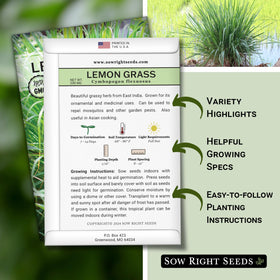 Sow Right Seeds lemon grass germination in soil promises bright culinary aroma.