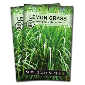 Sow Right Seeds lemon grass seeds packet ready to plant for fresh culinary zest.