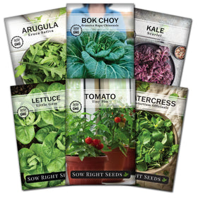 Sow Right Seeds Little Gem lettuce packet for indoor hydroponic growing