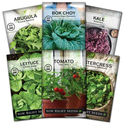 Sow Right Seeds Little Gem lettuce packet for indoor hydroponic growing