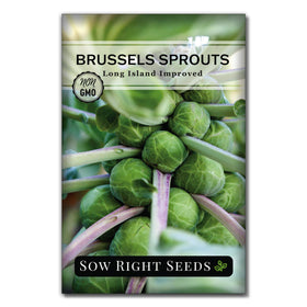 Sow Right Seeds Long Island Brussels Sprouts seed packet front for home garden planning