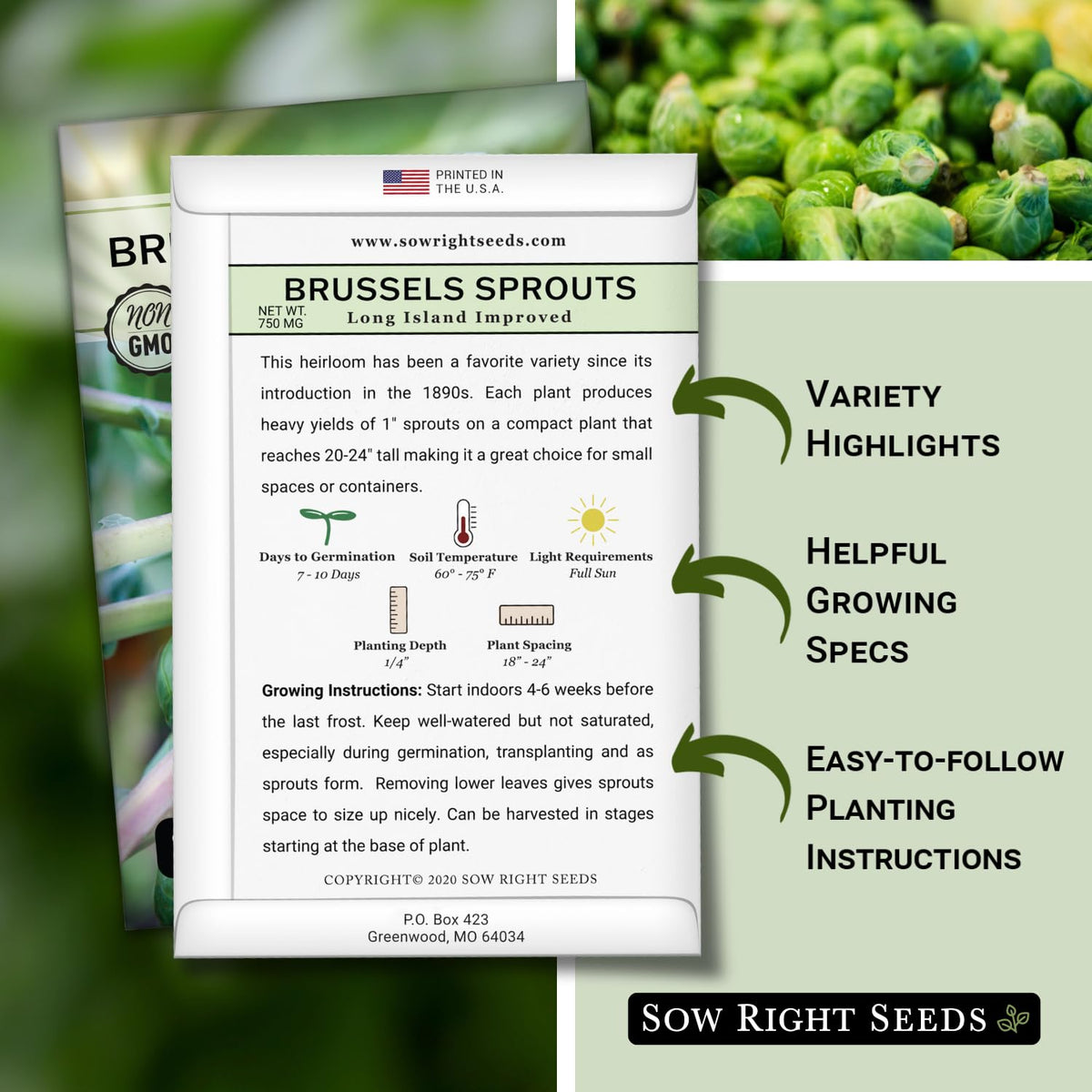 Sow Right Seeds Long Island Brussels Sprouts seeds close-up showing seed quality