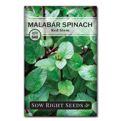 Sow Right Seeds Malabar Red Stem Spinach seed packet for heat-tolerant home gardens.