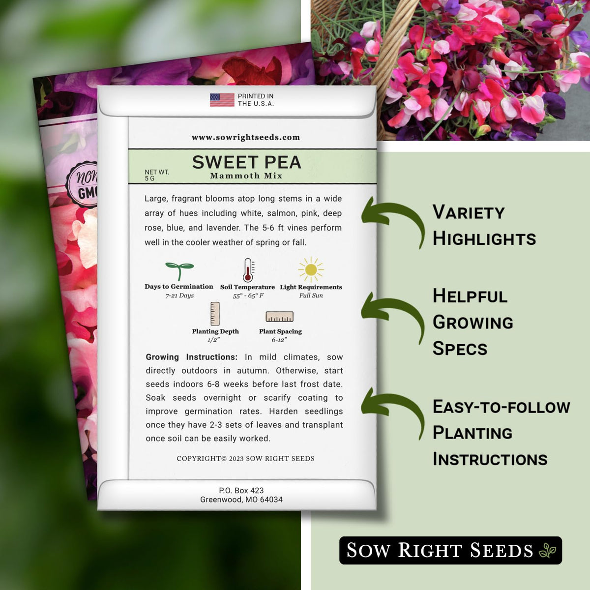 Sow Right Seeds Mammoth Mix Sweet Pea vines growing tall on a garden trellis