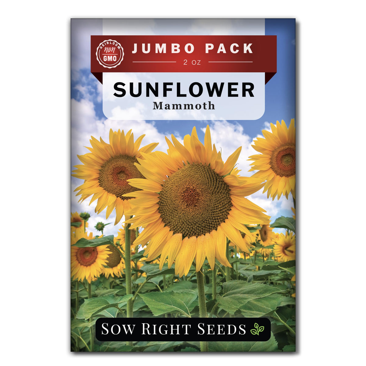 Sow Right Seeds Mammoth Sunflower bulk packet ready for full-sun planting to attract pollinators.