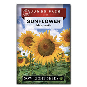Sow Right Seeds Mammoth Sunflower bulk packet ready for full-sun planting to attract pollinators.