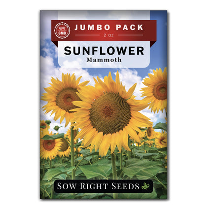 Sow Right Seeds Mammoth Sunflower bulk packet ready for full-sun planting to attract pollinators.