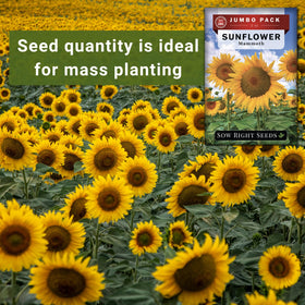 2 oz packet containing about 740 seeds for steady garden planting.