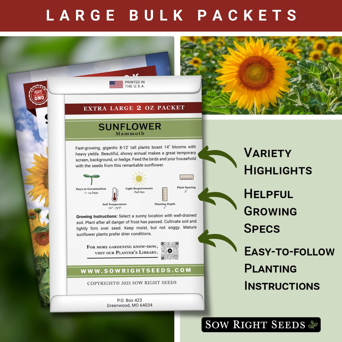 Mammoth Sunflowers rise tall in the garden, creating a dramatic focal point for outdoor spaces.
