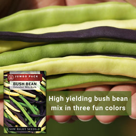 Sow Right Seeds mature in 60–75 days for a steady harvest.
