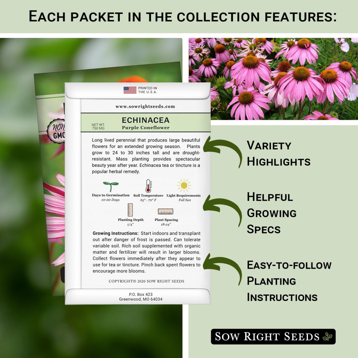 Sow Right Seeds Echinacea packet for immune-support infusions and tinctures.