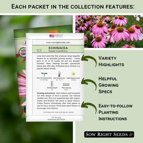 Sow Right Seeds Echinacea packet for immune-support infusions and tinctures.