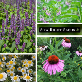 Sow Right Seeds Hyssop packet for aromatic teas and refreshing sachets.