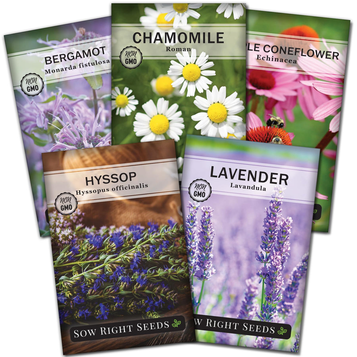 Sow Right Seeds Roman Chamomile packet for calming herbal teas and gentle remedies.