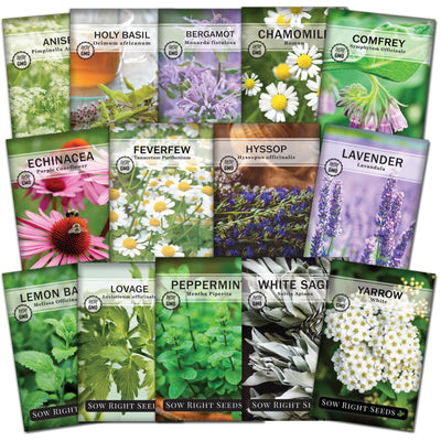Sow Right Seeds medicinal herb seed packets displayed for home remedies planning.