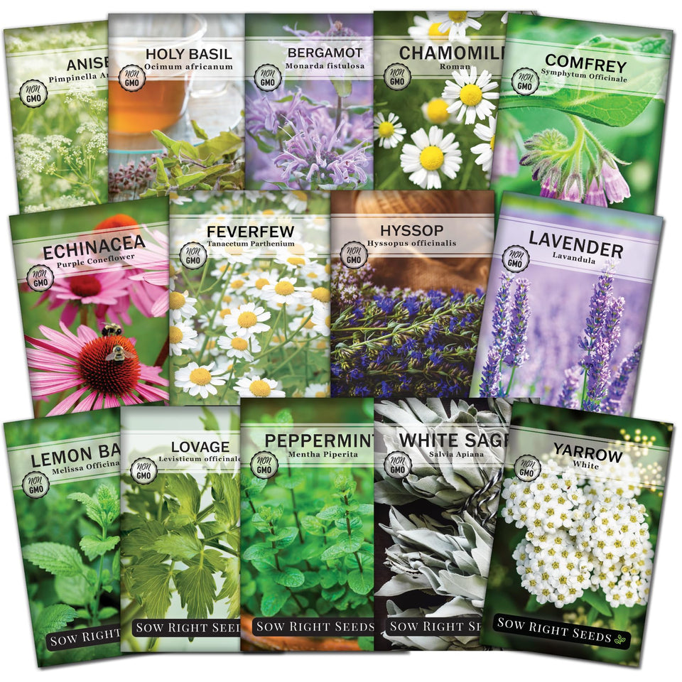 Sow Right Seeds medicinal herb seed packets displayed for home remedies planning.