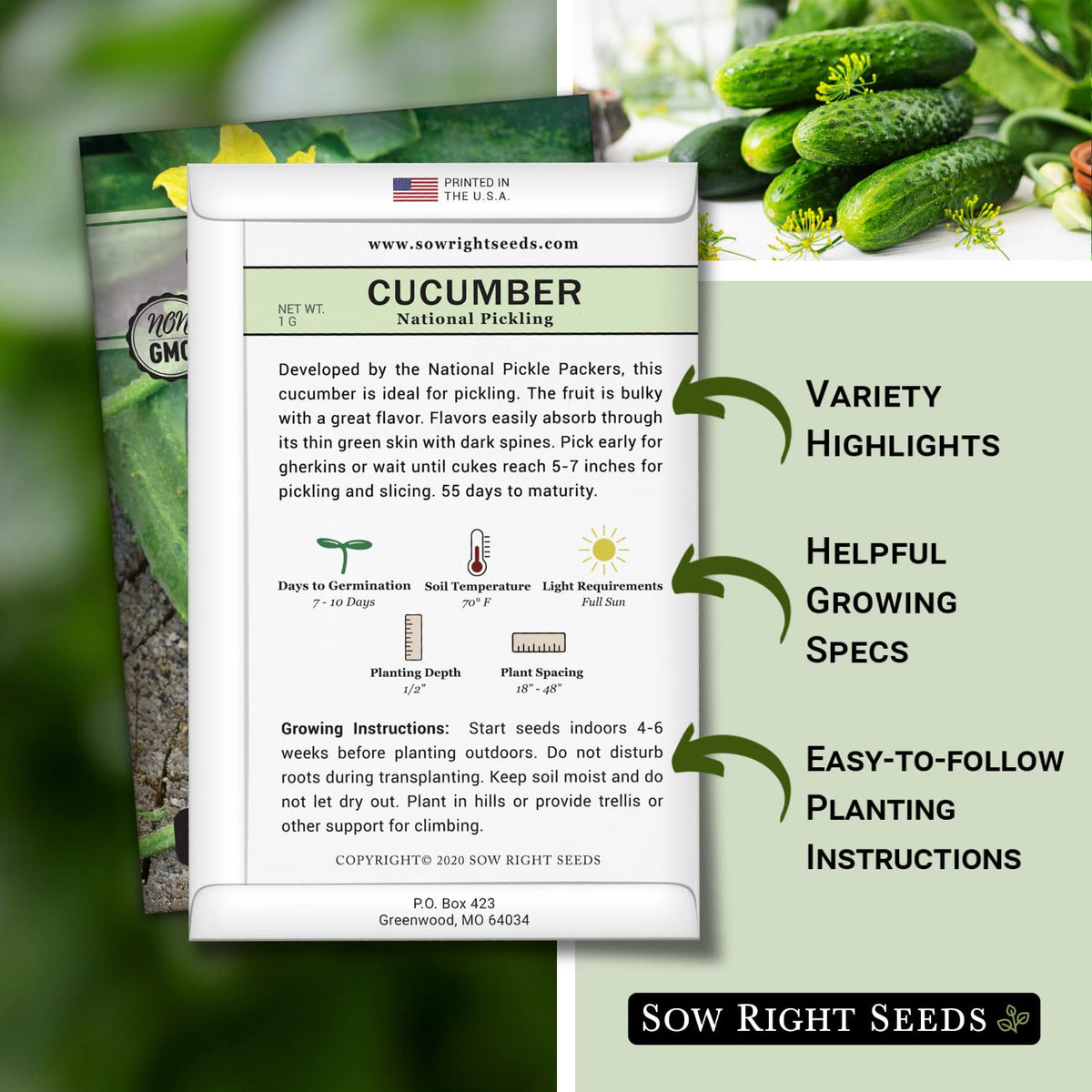 Sow Right Seeds National Pickling Cucumber Seeds burpless fruit close-up with harvest potential