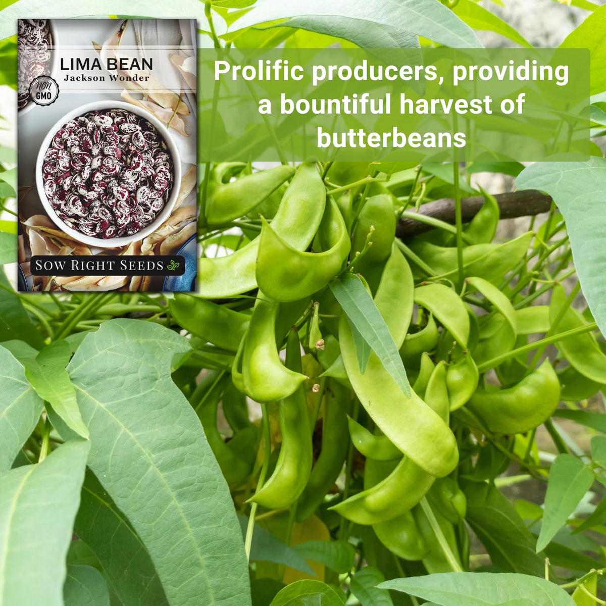 Non-GMO heirloom seeds from a solar-powered operation for safe gardening.