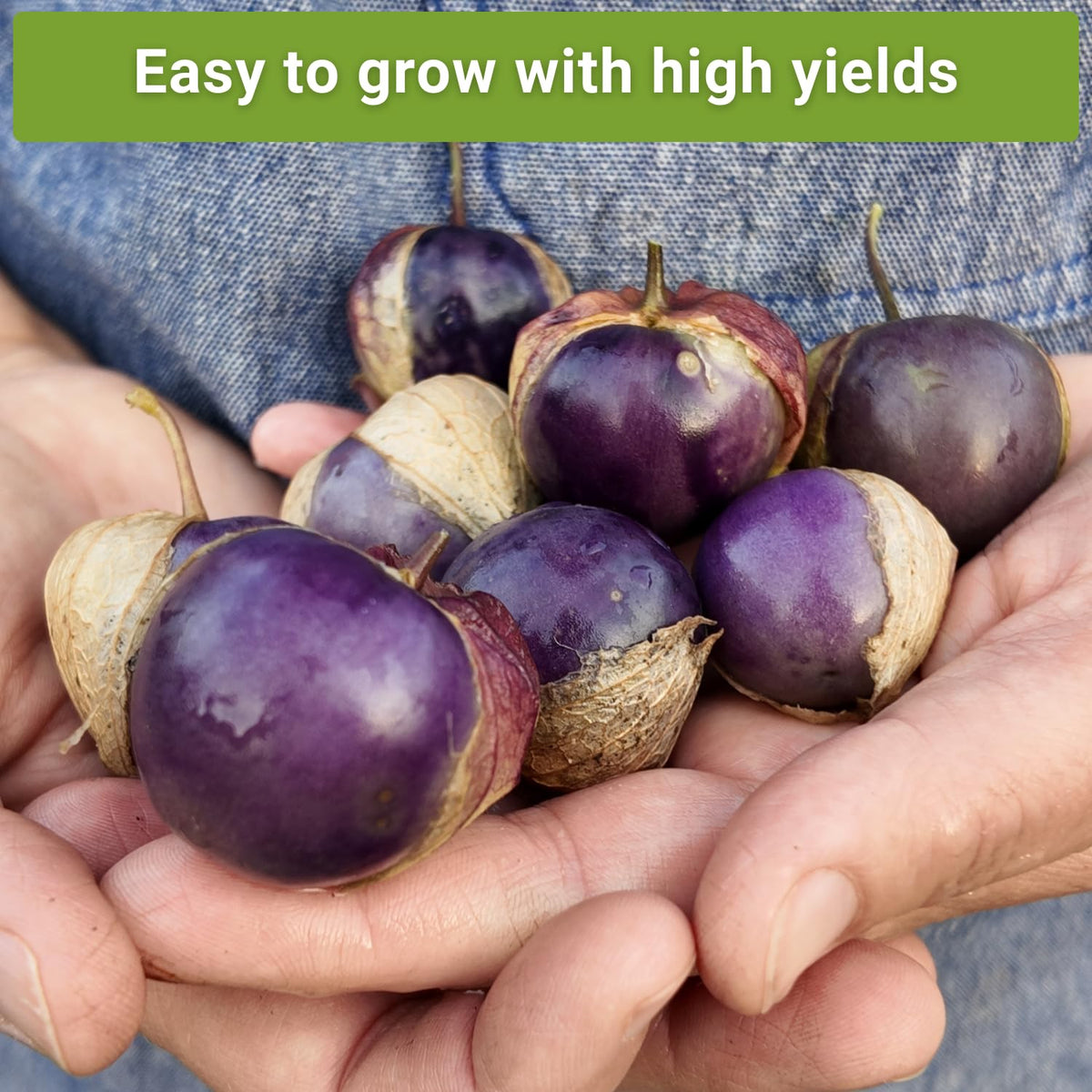 Sow Right Seeds non-GMO heirloom seeds with clear growing instructions