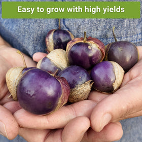 Sow Right Seeds non-GMO heirloom seeds with clear growing instructions