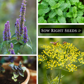 Sow Right Seeds non-GMO heirloom seeds support sustainable gardening