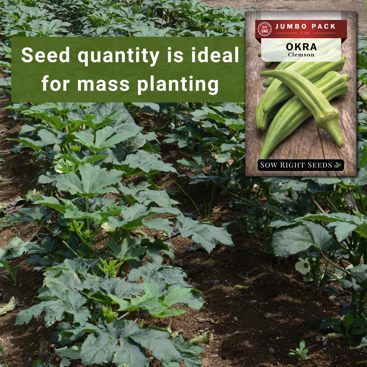Sow Right Seeds germination tips for Clemson Spineless Okra.