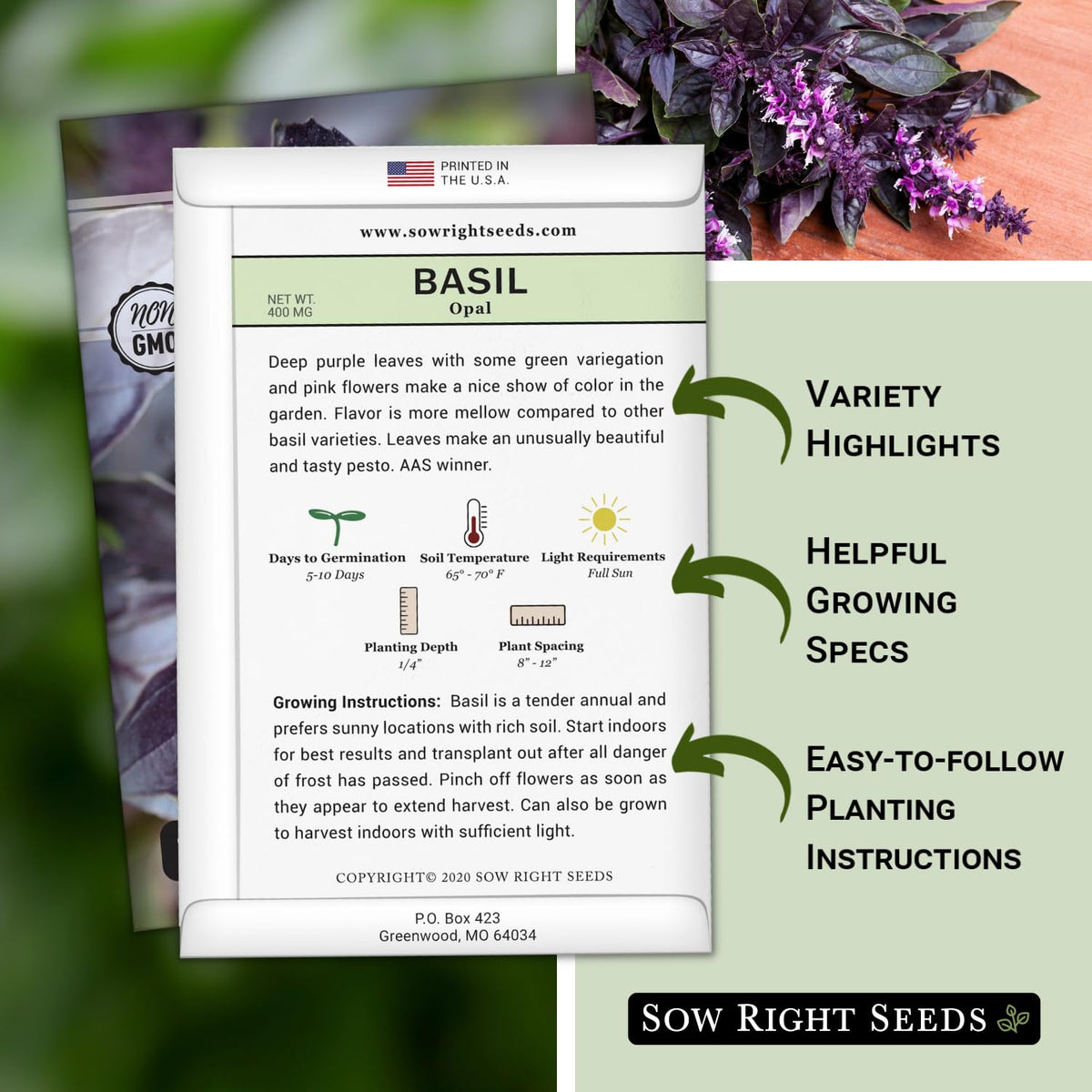 Opal Basil indoor kitchen herb setup by Sow Right Seeds