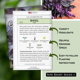 Opal Basil indoor kitchen herb setup by Sow Right Seeds