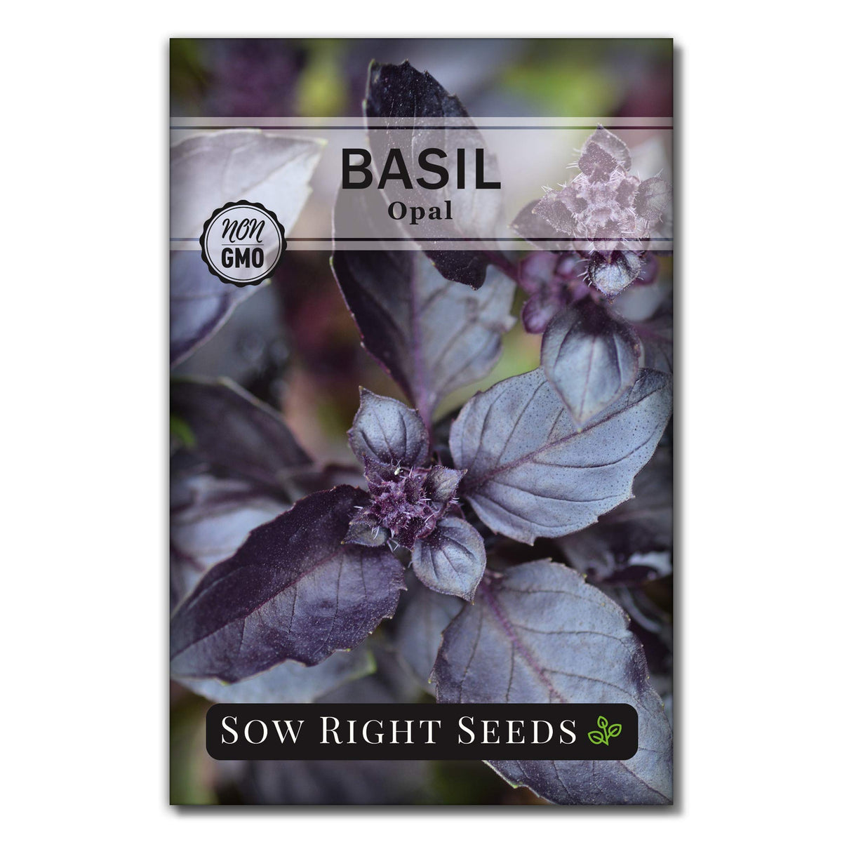 Sow Right Seeds Opal Basil seed packet for easy indoor herb gardening