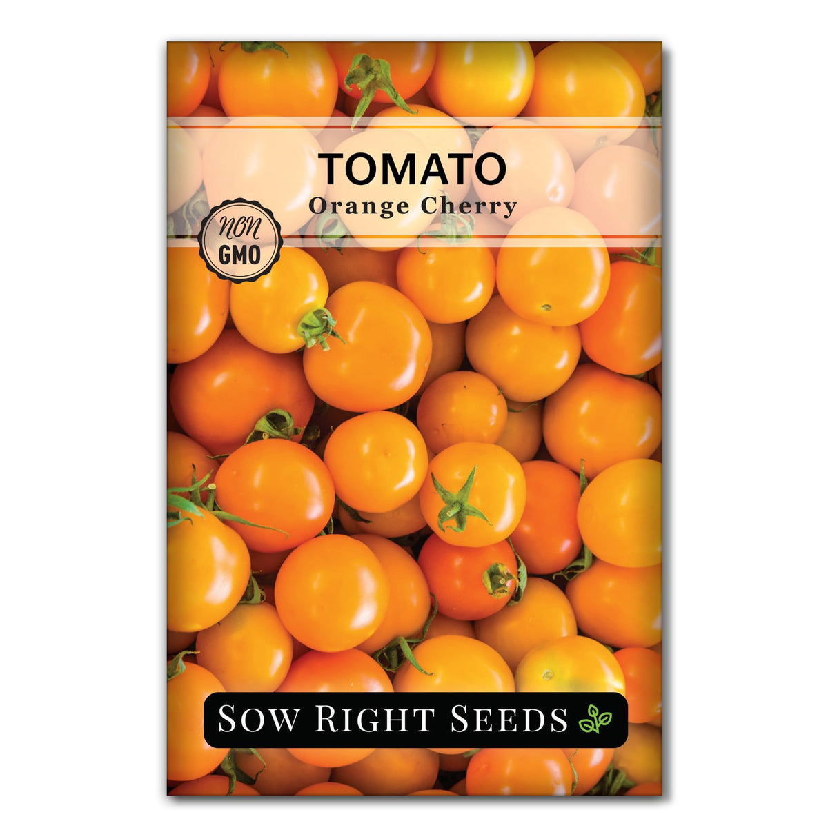 Sow Right Seeds Orange Cherry Tomato seeds packet, premium heirloom seeds for home gardening.